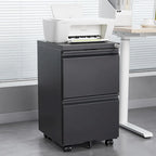 2-Drawer Metal Mobile File Cabinet with Lock