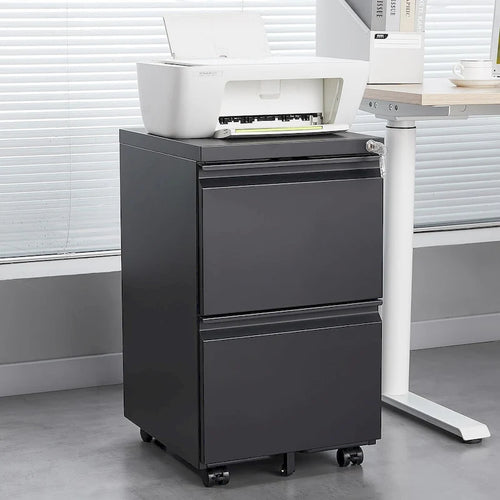 2 Drawer File Cabinet with Lock,Metal Under Desk Rolling Filing Cabinet fits Letter/Legal/A4 Size,Mobile Filing Cabinet